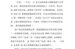 2022年冬奥会开幕式观后感（2022冬奥会观后感600字）