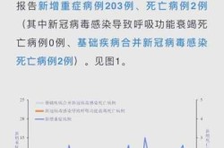 2024年7月新疆新型病毒，新冠病毒是2020年几月开始
