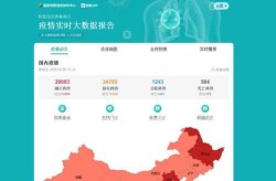 疫情实时大数据报告查询，全国疫情大数据查询