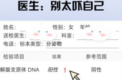 大连1例阳性系感染奥密克戎（奥密克戎是细菌病毒吗）