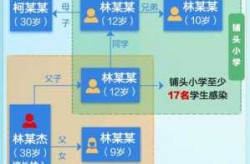 4天123例 一图读懂福建疫情传播链，一张图让你了解三年疫情