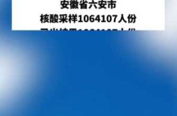 六安百万人口核酸检测结果出来了（现在去六安要做核酸检测证明吗）