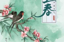 立春是2022的几月几日几点（立春是农历的几月初几）