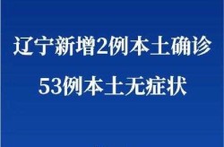 辽宁新增本土确诊26例 无症状53例，辽宁新增本土确诊详情