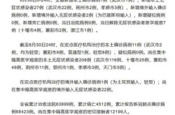 武汉新增25例无症状感染者（湖北新增无症状感染者）