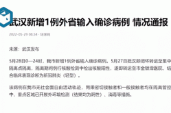 武汉新增1例重症病例，武汉新增病例最新消息