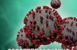 新冠病毒新的变异病毒，最新变异新冠病毒叫什么