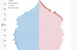 美国人口2020总人数几亿（美国人口国土面积是多少）