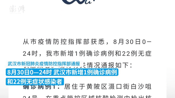 31省区市新增本土确诊19例（武汉新增确诊）