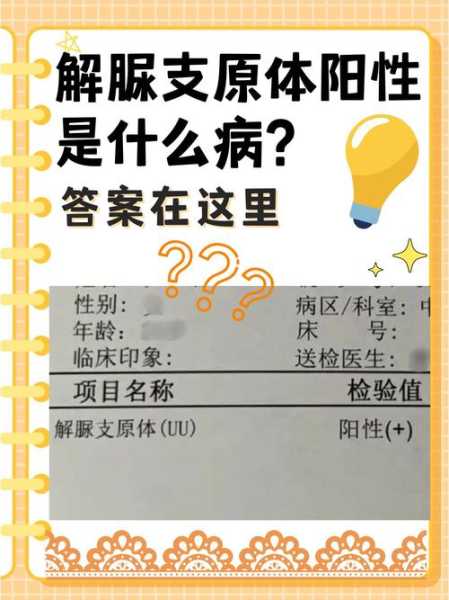 湖南长沙新增2例核酸阳性人员（解脲脲原体核酸检测阳性严重吗）