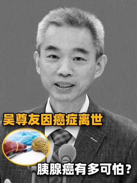 吴尊友：中国人受新冠影响全球最小（吴尊为什么来中国）