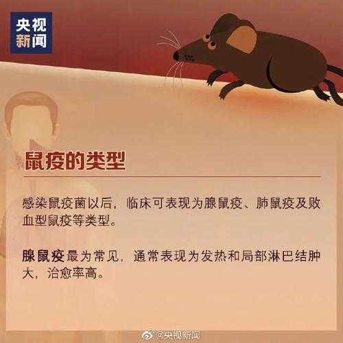2023年全国鼠疫发生地区(中国最近发生的鼠疫)