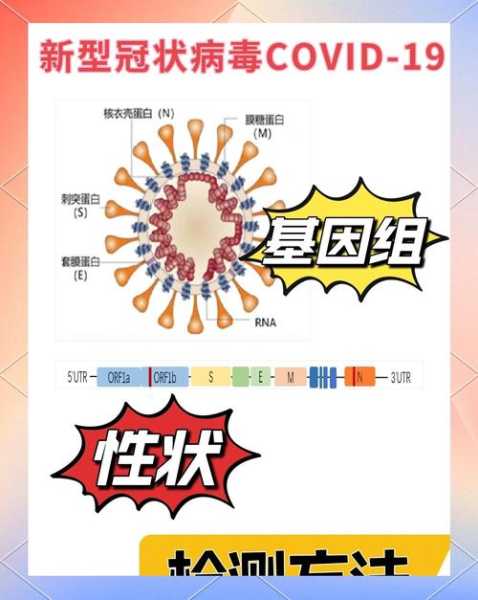 新型冠状病毒最新全球最新消息（全球新型冠最新消息）