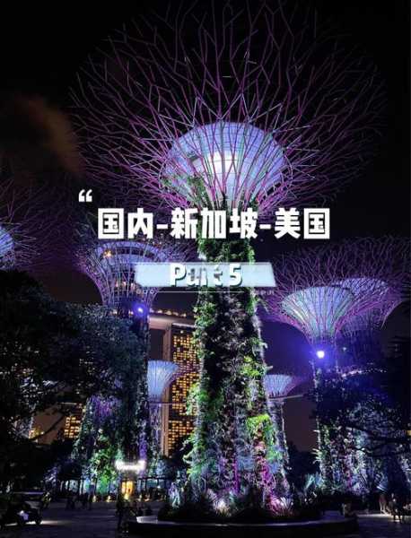 新加坡2024又有疫情了吗现在（新加坡现在疫情怎么样）