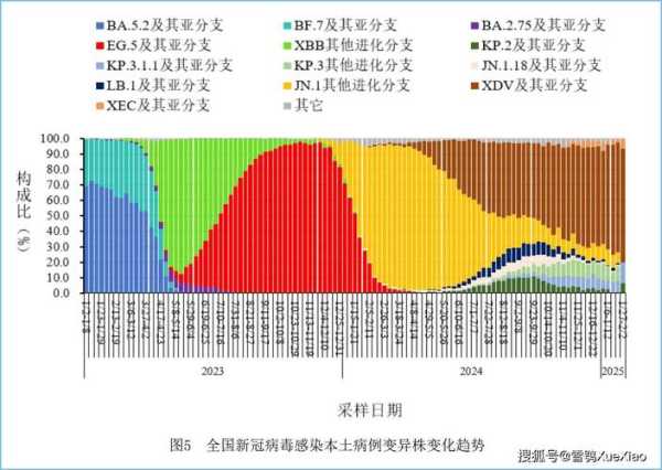 2023年疫情最严重是几月(2025年疫情会严重吗)