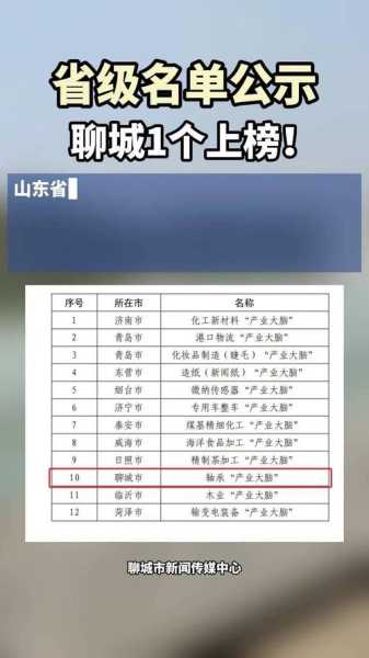 聊城疫情风险等级公布,聊城属于疫情什么风险地区