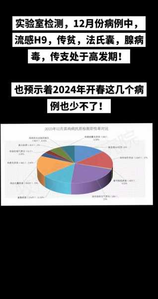 24年12月份病毒咋回事，2024年一月份病毒严重么