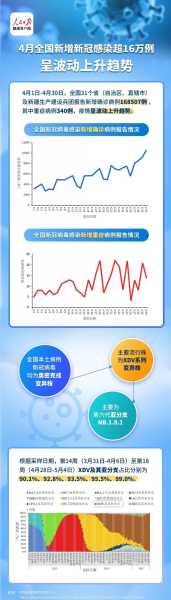 2024年2月新冠高峰，2024最新一轮新冠
