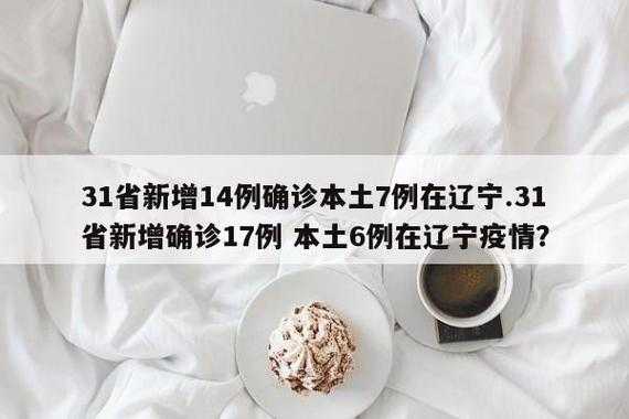31个省份新增17例，31省区市新增多少例新闻