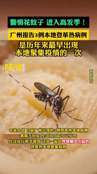 广州疫情今天最新消息，广州蚊子病毒最新消息