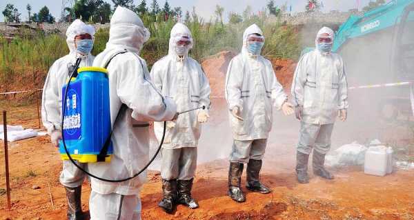 石家庄疫情突增，石家庄疫情最新消息今天新增人数
